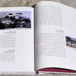 اعداد واشراف دكتور ميشال مراد جامعة سيدة اللويزة