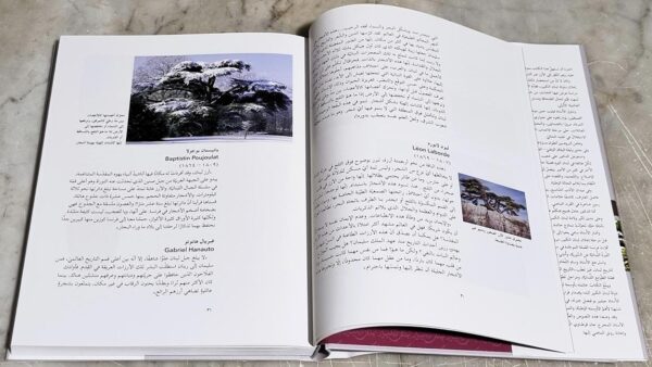 اعداد واشراف دكتور ميشال مراد جامعة سيدة اللويزة