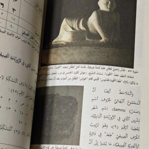 الأبجدية الفينيقية وأسرارها المخفية - Image 4