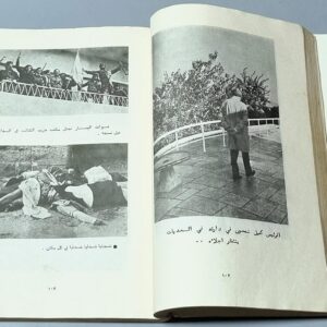 الحرب اللبنانية في صور مقتطفات مِنَ الصحف