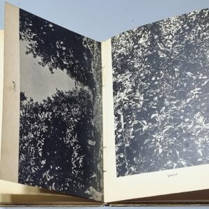 لبنان في عهد الاستقلال - Image 3