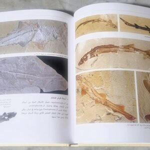 كتاب متحجرات لبنان