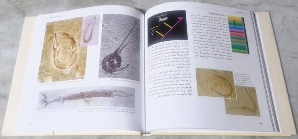 كتاب متحجرات لبنان