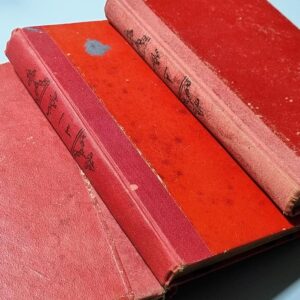 لويس شيخو أَدِيبٌ ومُؤرِّخٌ ولاهُوتِيٌّ رَائِد وأَحَدُ أَبرَزِ أَعلَامِ النَّهضةِ العِلمِيةِ والأَدبِيةِ