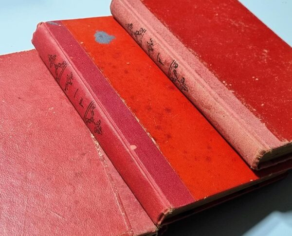 لويس شيخو أَدِيبٌ ومُؤرِّخٌ ولاهُوتِيٌّ رَائِد وأَحَدُ أَبرَزِ أَعلَامِ النَّهضةِ العِلمِيةِ والأَدبِيةِ