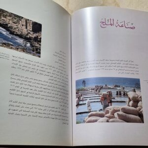 كتاب الصناعة اللبنانية تاريخ وحضارة - Image 4