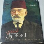 كتاب نادر سراج أفندي الغلغول 1854 - 1940 شاهد على تحولات بيروت خلال قرن