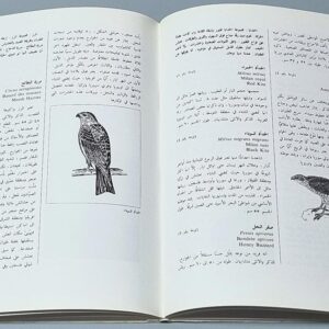 طيور لبنان - جورج طعمه - Image 2