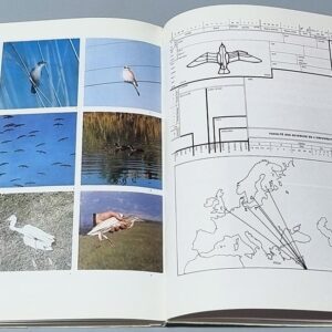 Les oiseaux du Liban, Georges Tohmé, Henriette Tohmé