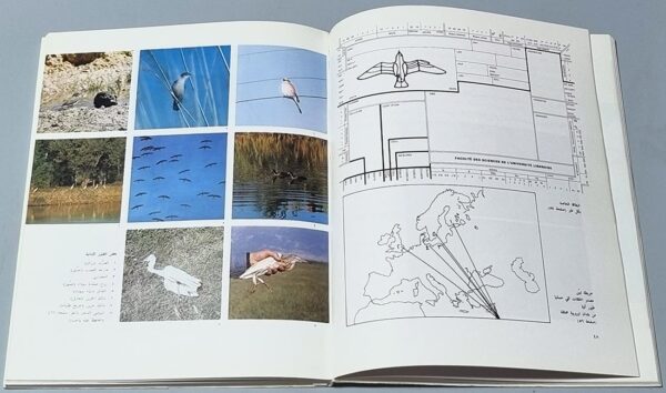 Les oiseaux du Liban, Georges Tohmé, Henriette Tohmé