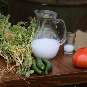 Lebanon vegetable wood magnet