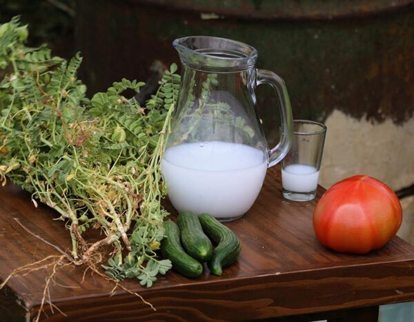 Lebanon vegetable wood magnet