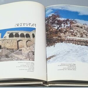 Syrie - Syria - Antoine Guiné - Xavier Richer - Image 3
