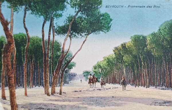 Beyrouth - Promenade des Pins