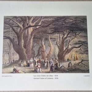 Les Vieux Cèdres du Liban - 1836 - Ancient Cedars of Lebanon