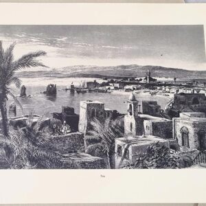 TYRE - TYR - صور