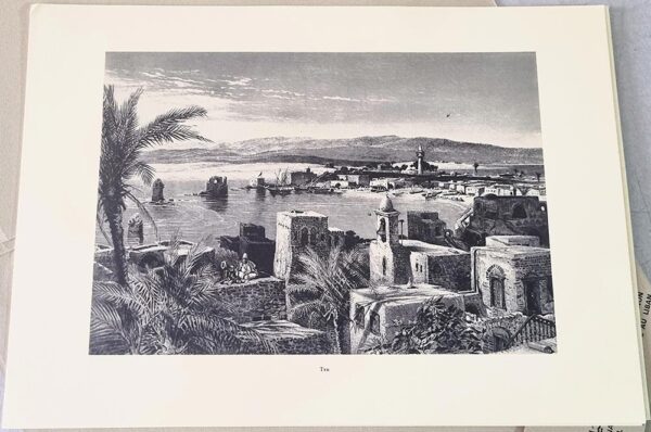 TYRE - TYR - صور