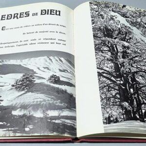 Liban لبنان Terre de Lait et de Miel, Samir Atallah - Image 3