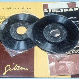 عالم جبران - أنتجت هَذا الملف السمعي البصري لجنة جبران الوطنية - Image 5